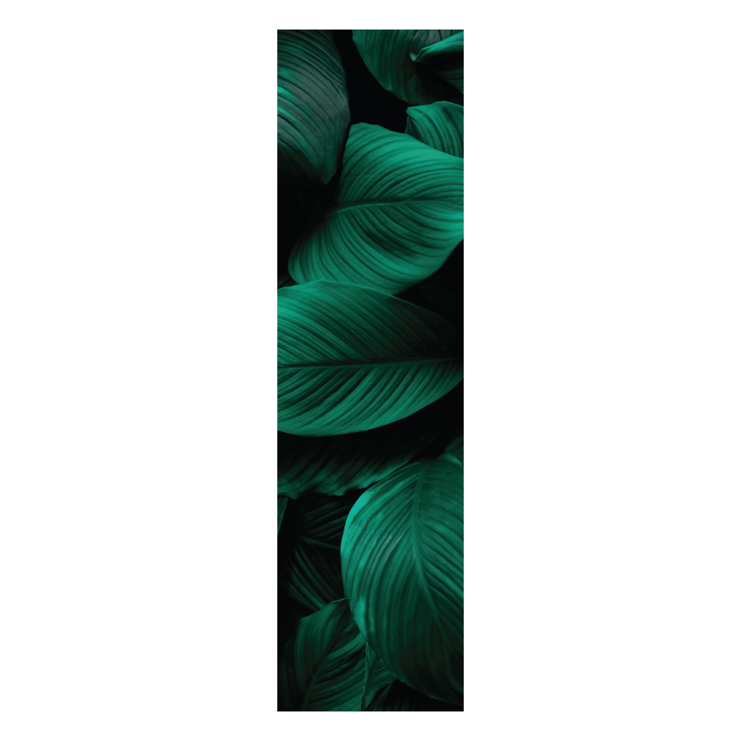 Termoarredo idraulico 200x51 cm interasse mm 50 Modello 'Leaf' Termocrea by CeramicStore | Lo specialista del tuo bagno