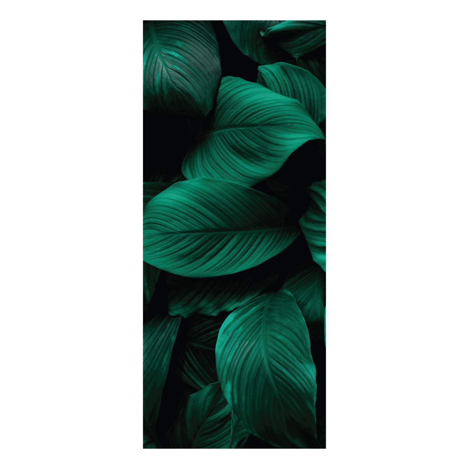 Termoarredo idraulico 180x73,5 cm interasse mm 50 Modello 'Leaf' Termocrea by CeramicStore | Lo specialista del tuo bagno