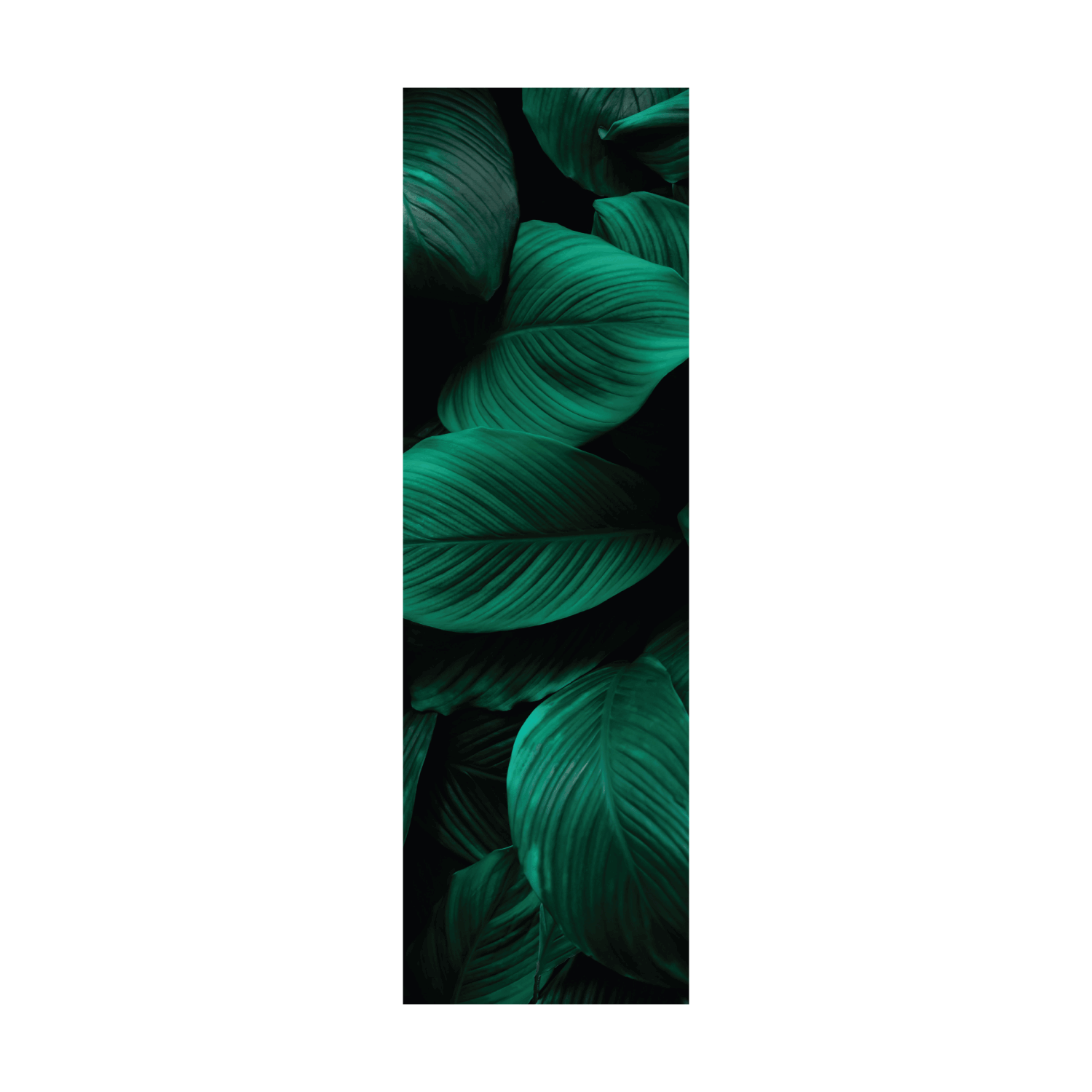 Termoarredo idraulico 200x58,5 cm interasse mm 50 Modello 'Leaf' Termocrea by CeramicStore | Lo specialista del tuo bagno