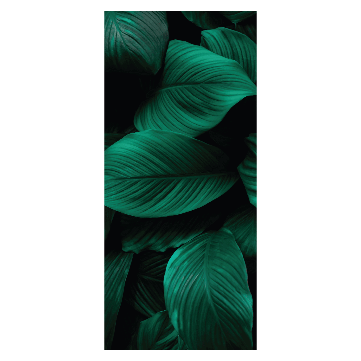 Termoarredo idraulico 120x51 cm interasse mm 50 Modello 'Leaf' Termocrea by CeramicStore | Lo specialista del tuo bagno