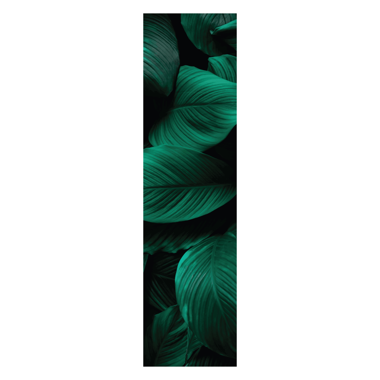 Termoarredo idraulico 150x36 cm interasse mm 50 Modello 'Leaf' Termocrea by CeramicStore | Lo specialista del tuo bagno