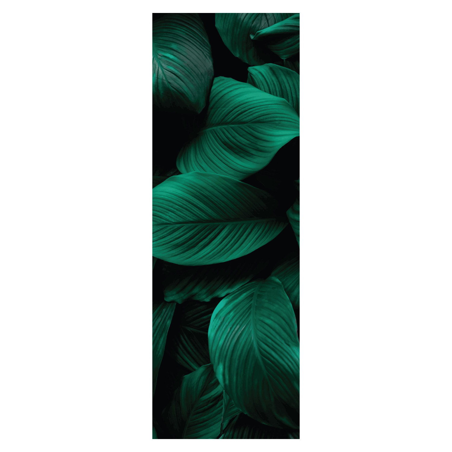 Termoarredo idraulico 180x58,5 cm interasse mm 50 Modello 'Leaf' Termocrea by CeramicStore | Lo specialista del tuo bagno