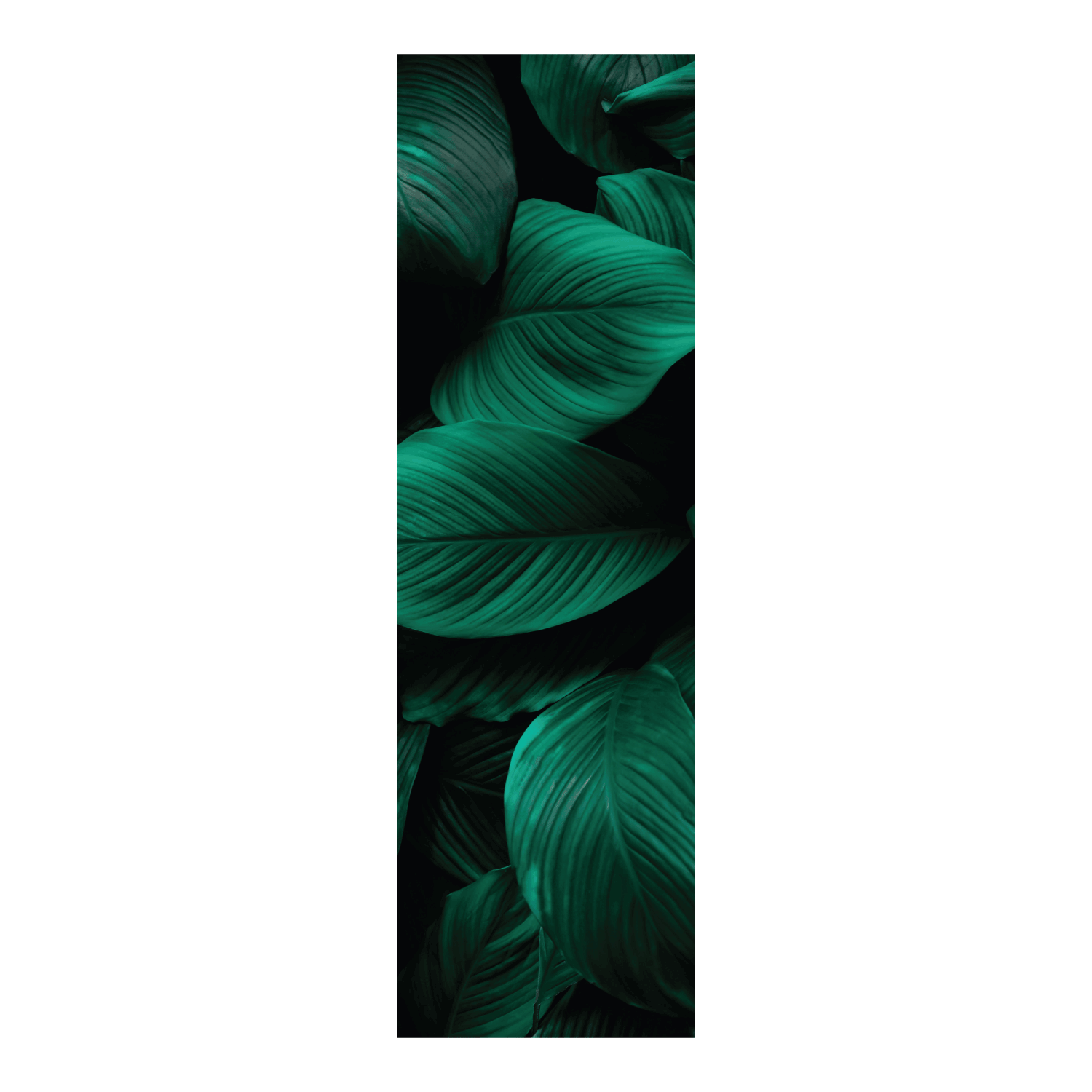 Termoarredo idraulico 180x51 cm interasse mm 50 Modello 'Leaf' Termocrea by CeramicStore | Lo specialista del tuo bagno