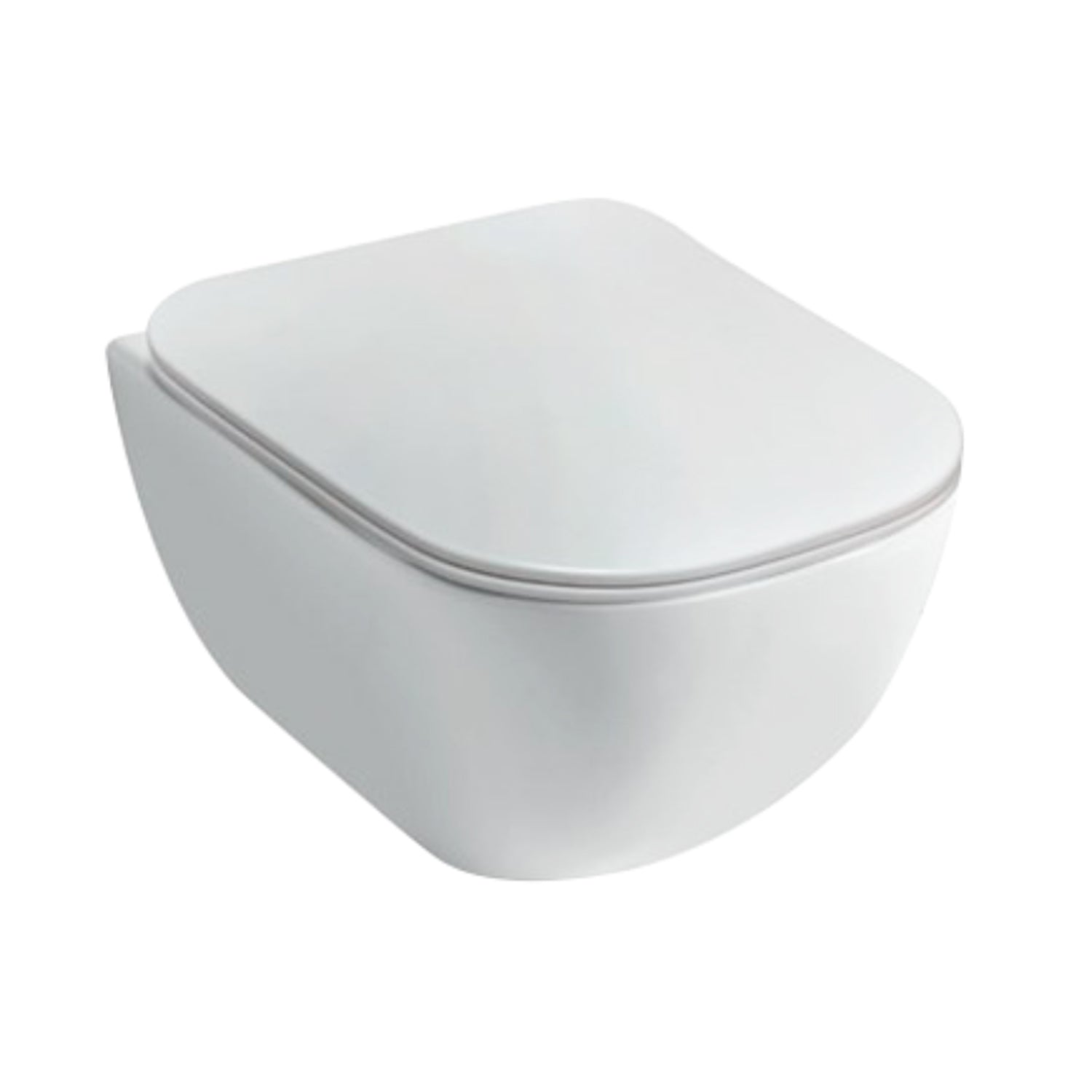 Santari sospesi serie Forever 55 in ceramica bianca con coprivaso chiusura tradizionale - Disegno Ceramica
