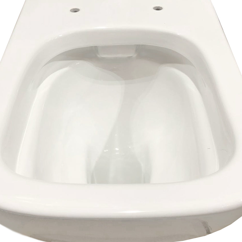 Coppia di sanitari filomuro WC bidet e coprivaso modello Reverse di Althea cm 50x36