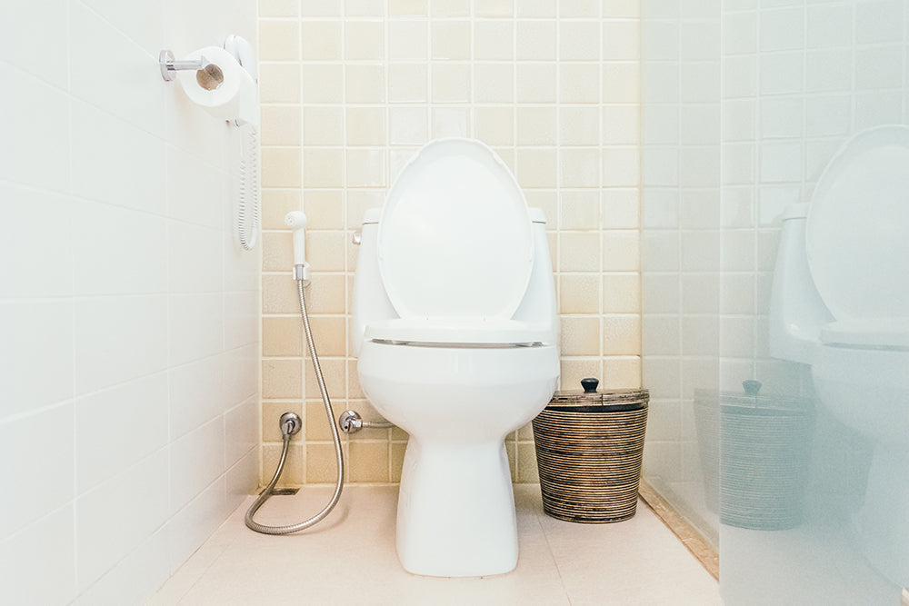 Come pulire e mantenere l'idroscopino WC