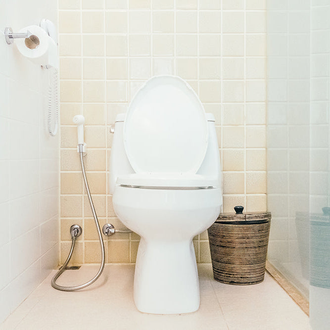 Come pulire e mantenere l'idroscopino WC