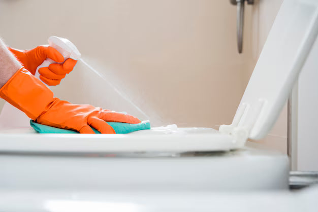 Pulizia dei sanitari: consigli e trucchi