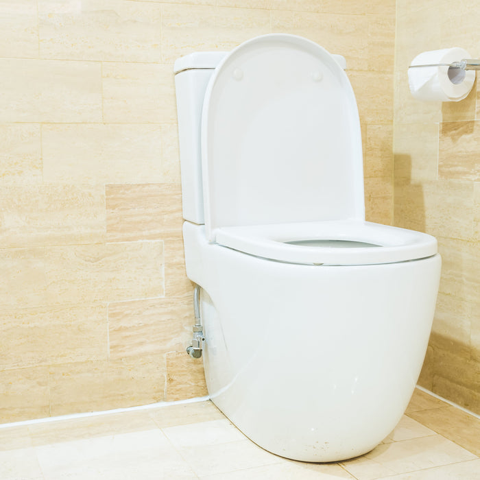 Sanitari monoblocco: quando preferirli alla cassetta incassata