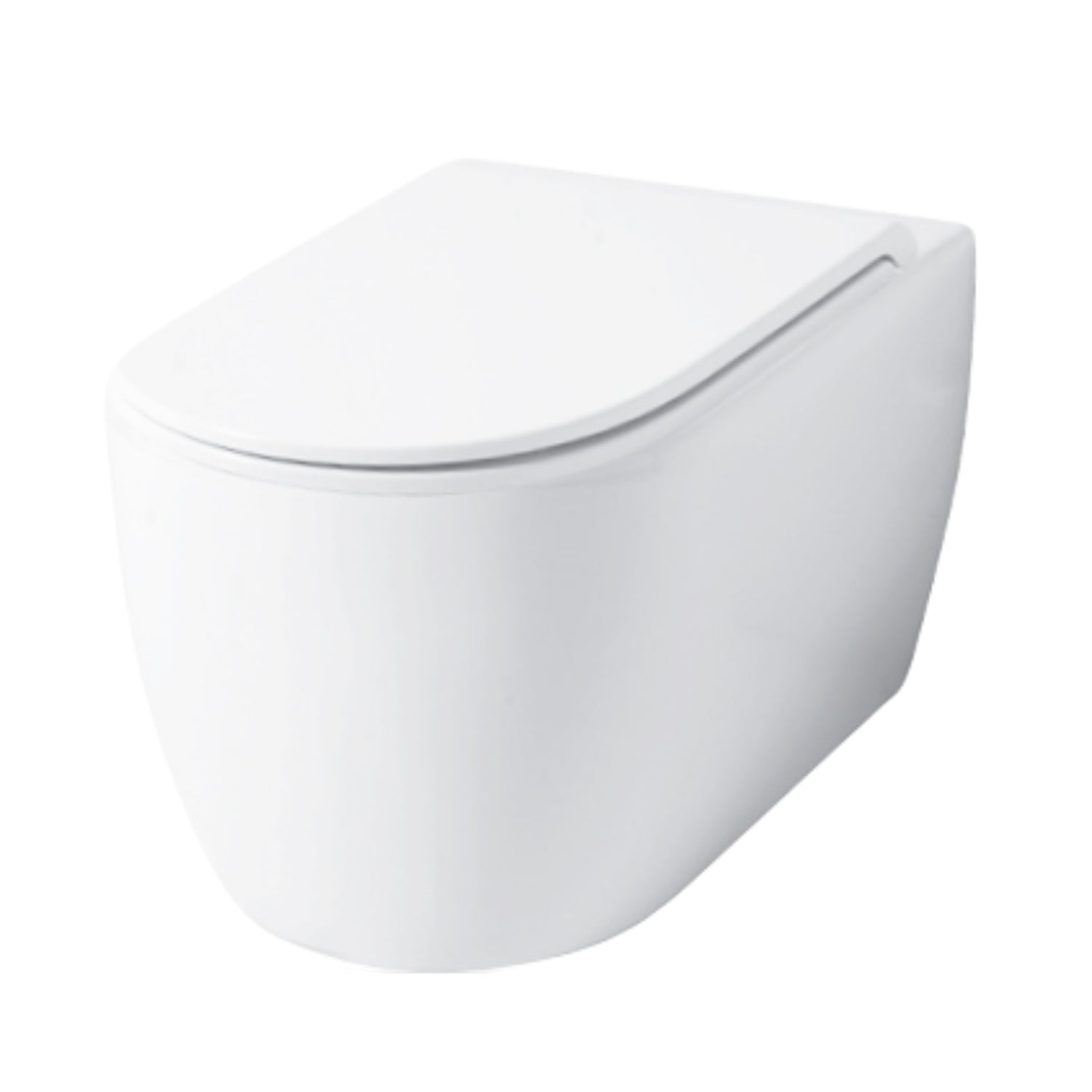 Wc sospeso serie Skip 55 in ceramica con coprivaso chiusura tradizionale- Disegno Ceramica