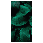 Termoarredo idraulico 120x58,5 cm interasse mm 50 Modello 'Leaf' Termocrea by CeramicStore | Lo specialista del tuo bagno