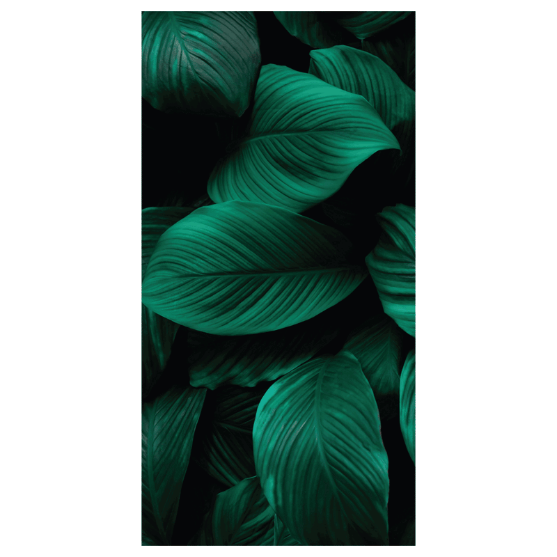 Termoarredo idraulico 120x58,5 cm interasse mm 50 Modello 'Leaf' Termocrea by CeramicStore | Lo specialista del tuo bagno