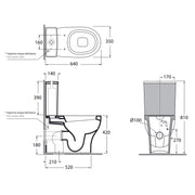 Vaso Monoblocco installazione filomuro 62