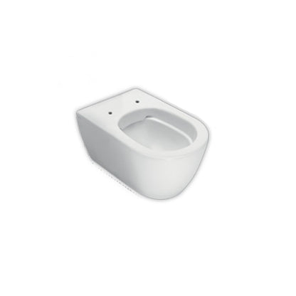 Coppia di sanitari sospesi 54x35 cm serie Fusion di Hatria con sedile soft-close