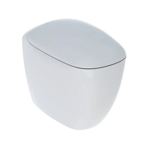 Vaso filomuro Rimless con scarico universale e sedile soft close modello Citterio di Geberit cm 56