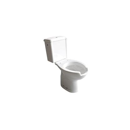 Vaso e cassetta monoblocco in ceramica bianca scarico a muro ideale per persone con disabilità