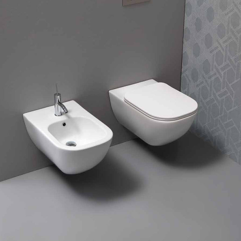 Wc sospeso serie Forever 55 in ceramica bianca lucida con coprivaso chiusura rallentata- Disegno Ceramica