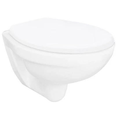 Vaso sospeso felce -