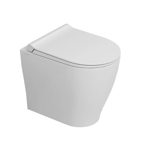Vaso filo muro btw mirto short vortice -
