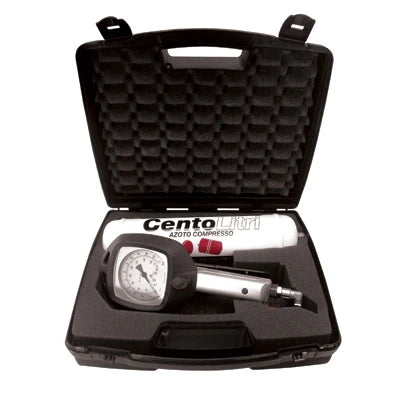 Gonfiatore portatile di azoto 110 lt pump air -