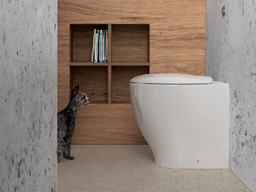 WC filo muro con profonditàÂ ridotta di 48 cm Domus Falerii Mascalzone con sedile normal close