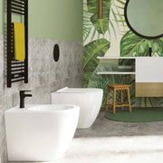 Sanitari filomuro collezione Tiara Linpha Sanitary cm 36x53 senza brida con copriwater soft close