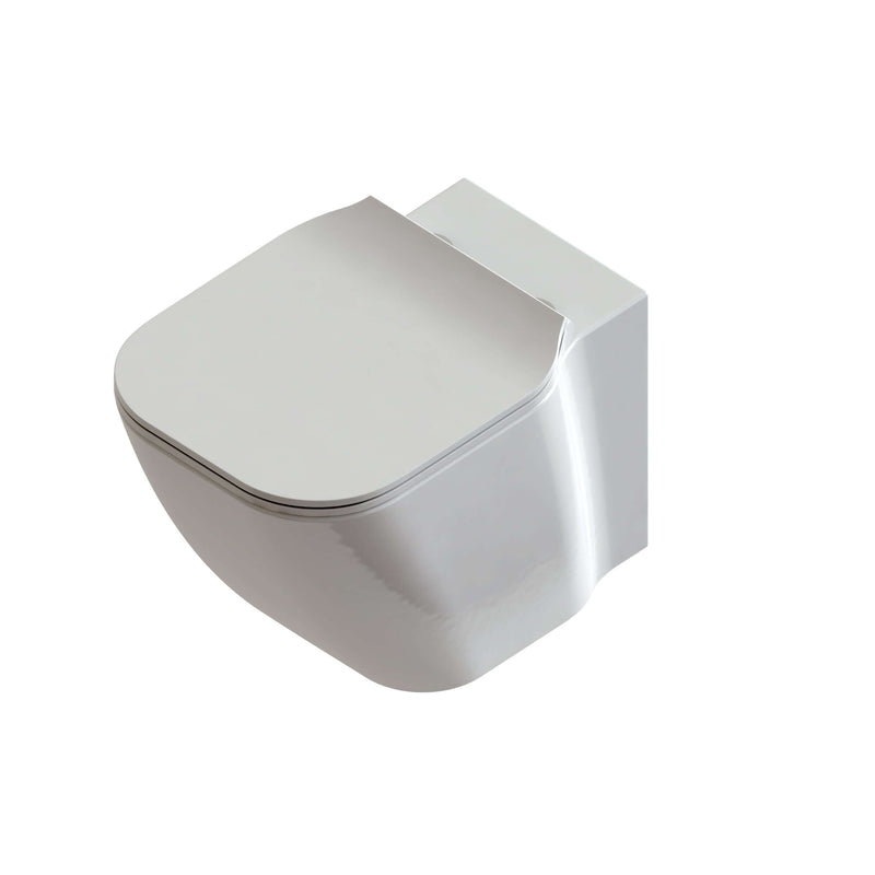 Sanitari senza brida sospesi Domus Falerii F50 Special Wc